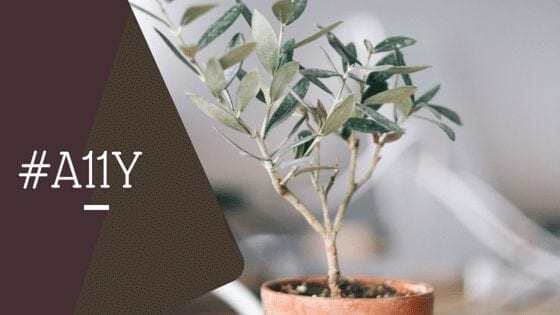 The words "#A11Y" laid over a potted plant. The words "#A11Y" laid over a potted plant.