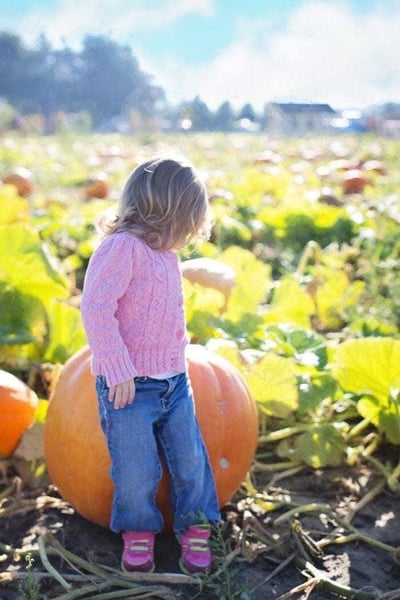 Small child with head turned back looking into a sunny pumpkin patch. Small child with head turned back looking into a sunny pumpkin patch.