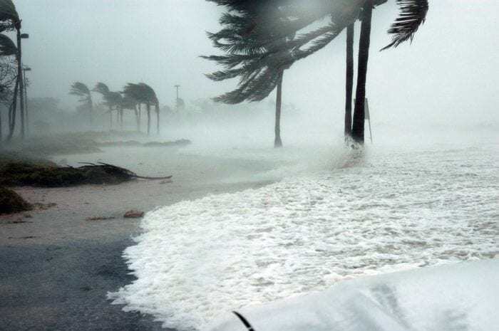 Storm surge on a FL beach as hurricane winds bend palm trees