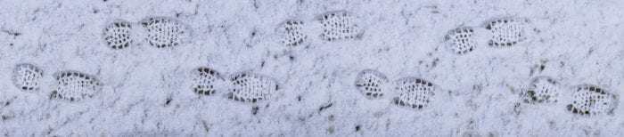 Shoe prints in snow