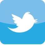 The official Twitter icon