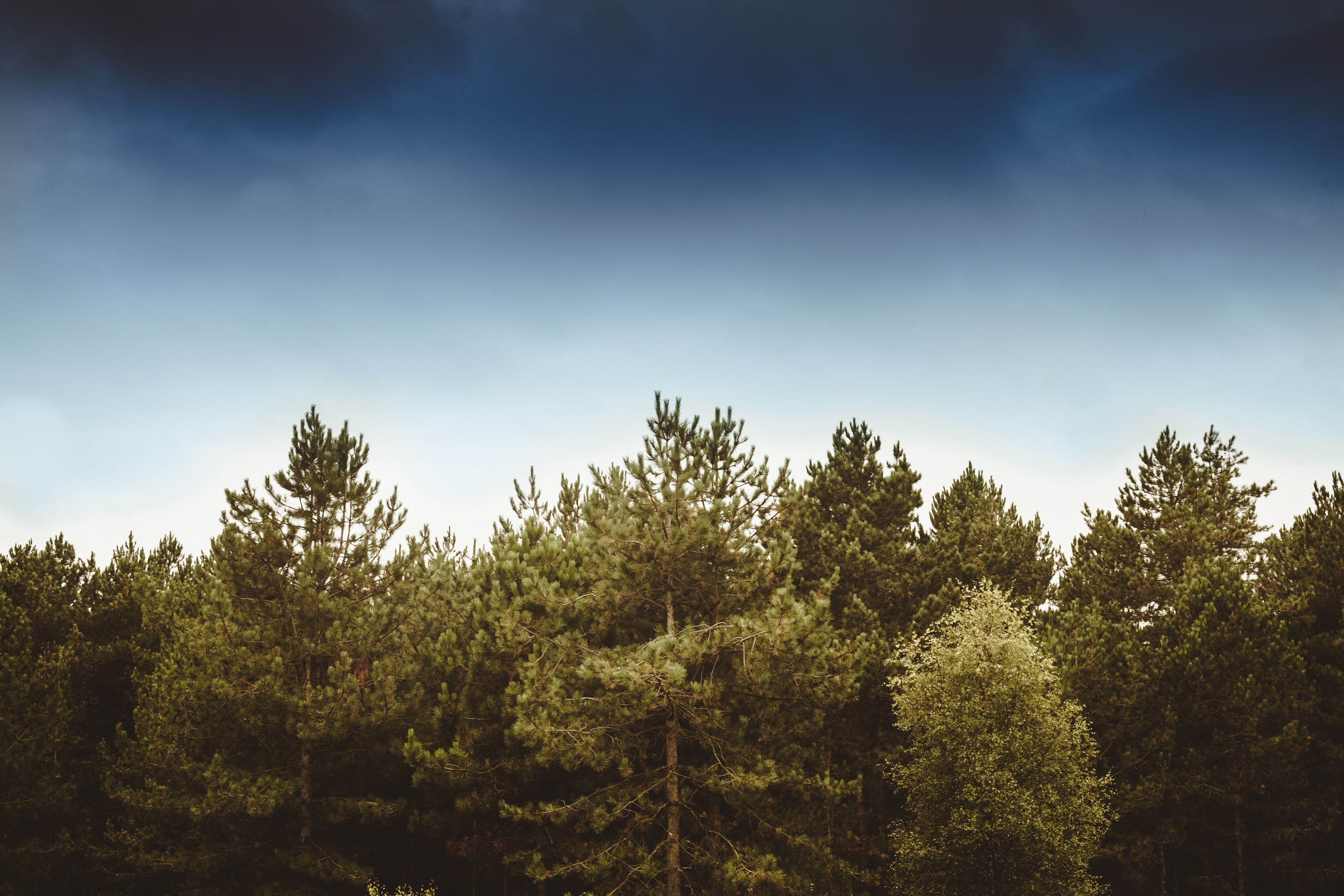 ethan-sexton-1116620-unsplash